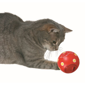 Snacky - der Snack Ball für Katzen