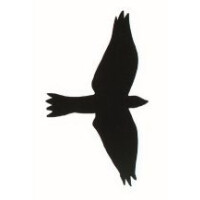 Greifvogelsilhouetten-Aufkleber im 3er-Pack