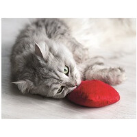 Baldi-Herz Katzenspielkissen